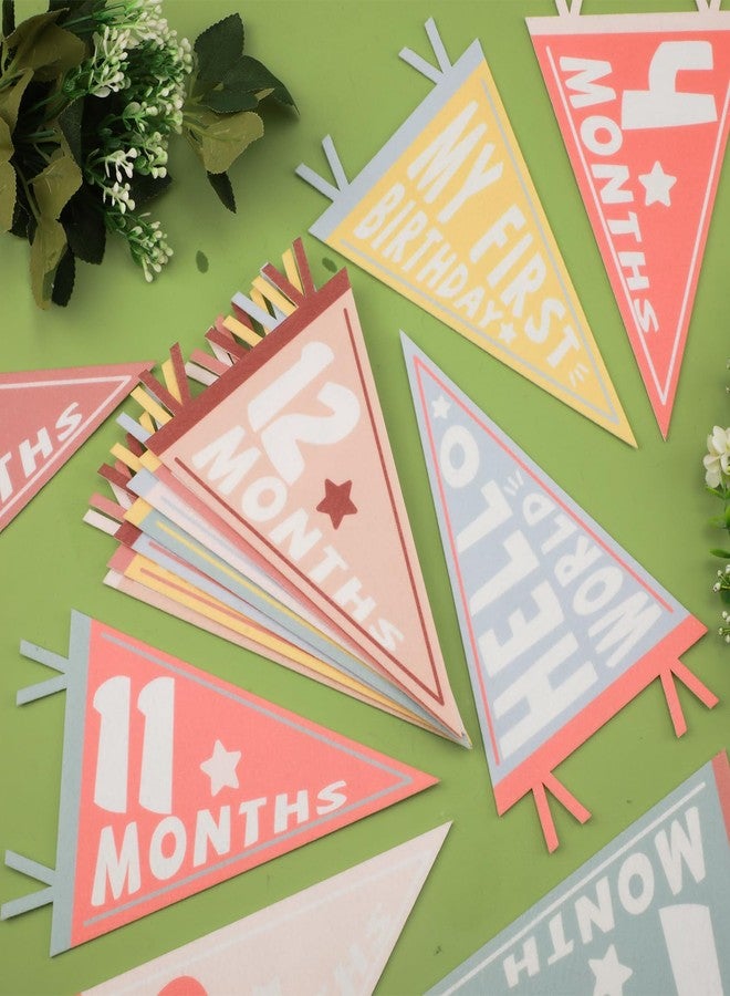 PEUTIER 14pcs Baby Milestone Flags, Felt Monthly Milestone Pennant Flag Colorful Baby Milestone Signs for Newborn Baby Shower 1st Birthday Party Decorations (Pattern 1) - Image 3